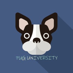 Pug University