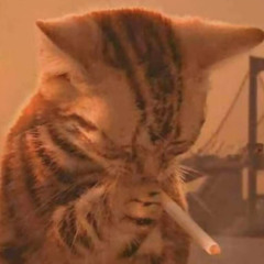 Papi’s Pump Products