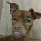 Eman
