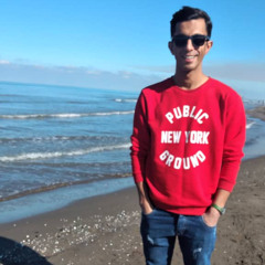 Aydin Hassanzadeh