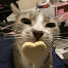 Appafloppa