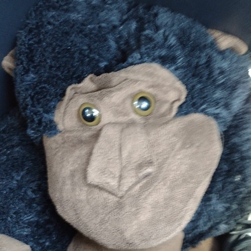 Gorilla D’s avatar