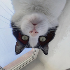 kiki✨