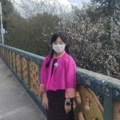 Artf Yangden