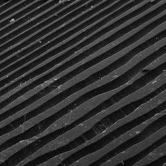Plastic Tracks