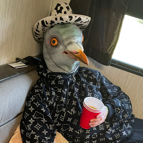 PigeonDub’s avatar