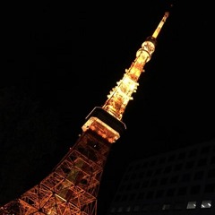 lovepeace