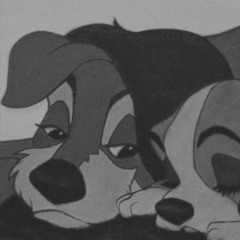 ✽{ ও * χ +zιση+ χ * ও }✽