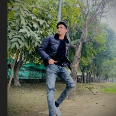 niazi 81