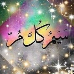 محمد الصعيدي