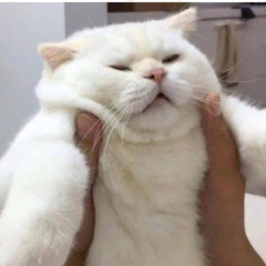 dudeitsmon