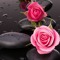 Dr.Alshaimaa