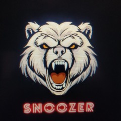 SNØØZER