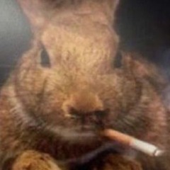 [ᑲᥙrrі𝗍᥆ss]