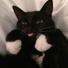 kketkatt