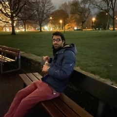 Muhammed ameen alghanem