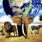 dscoots_worldwide