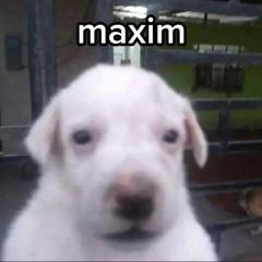ohmaximka