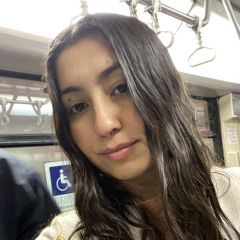 Fibizu