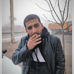 mohammadreza