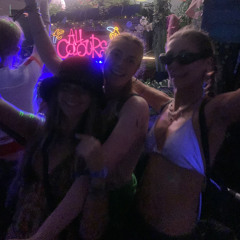 daisy botts
