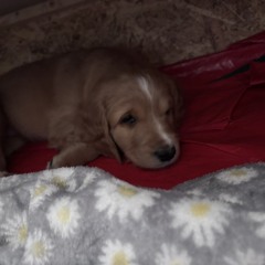 sosa ♡.