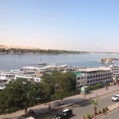 zyzy