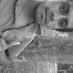 Wilson Sandoval Paiva