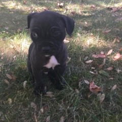 my light illuminates