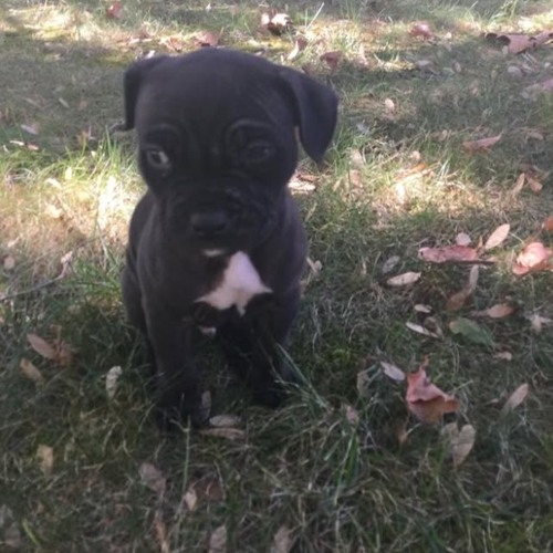 i haunt in my bedroom with my scary thoughts