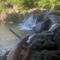 sundcloud.com/leafbugy