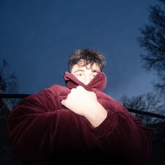 Ilya Gurin-Babayeu