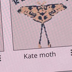 kate moth