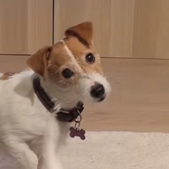 music là âm nhạc