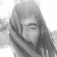 ali lotfi