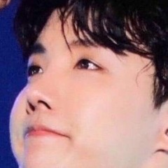 YOUR BIAS WILL NEVER BE YOURS
