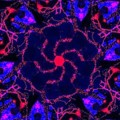 Voidwander