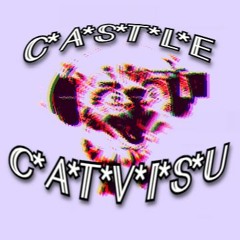 CastleCatvisu