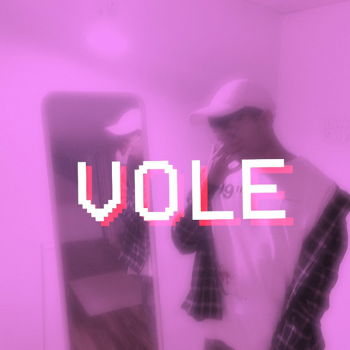 VOLE’s avatar