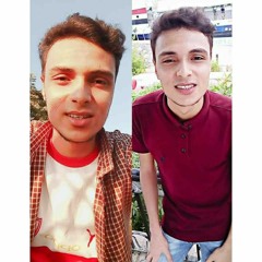 Hazem M. Ahmed