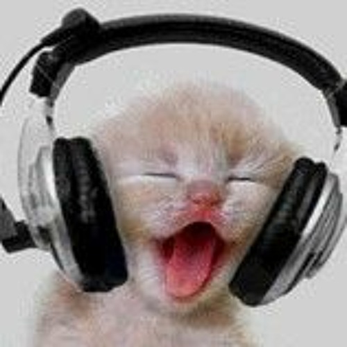 GAMEBREAKER-Fluffyhairs