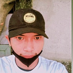 Mas Budi Fly