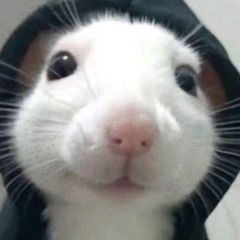 Wuoczz