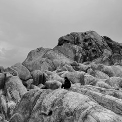 notatyourparty vault