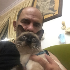 Mehrdad Haghighi