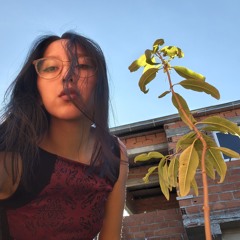 rocio cruz