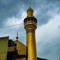 خادم الحسين ( ع )
