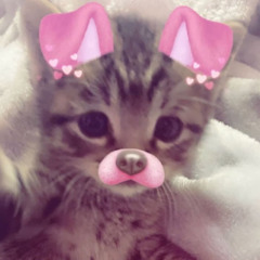 F 🎀