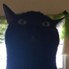 vOiD cAt
