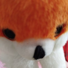pinwaawo